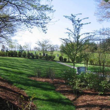 Green Rolling Hills with Views