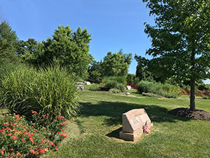 Summer at the Garden of Remembrance