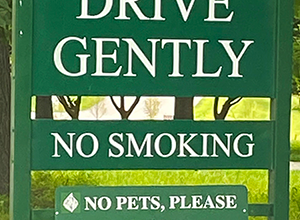 Drive Gently sign
